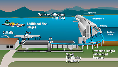 Juvenile Bypass Systems graphic