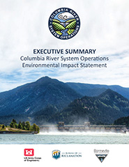 Federal agencies release final Columbia River System Operations  environmental impact statement > Northwestern Division > Northwestern  Division News Releases